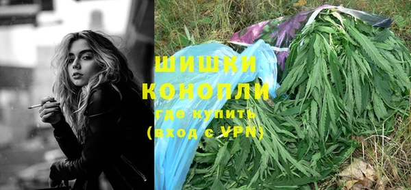 ешки Алзамай