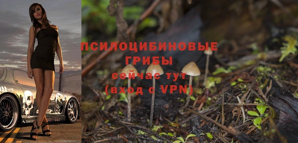 ешки Алзамай